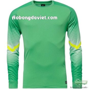 nike-goalkeepers-shirt-goleiro-l-s-hyper-verde-volt-